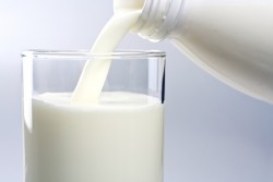 Giá trị dinh dưỡng của Sữa