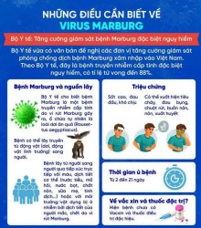 Những điều cần biết về VIRUS MARBURG